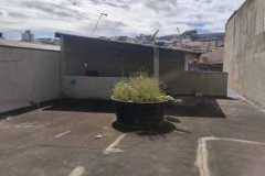 rua-taubate-1098-fevereiro-2026_13