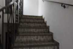 rua-lobo-146-setembro-2026_14