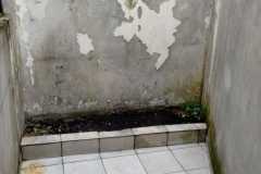 rua-lobo-146-setembro-2026_23