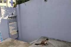 rua-renato-rinaldi-1487-julho-2025_02