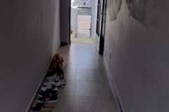 rua-renato-rinaldi-1487-julho-2025_04